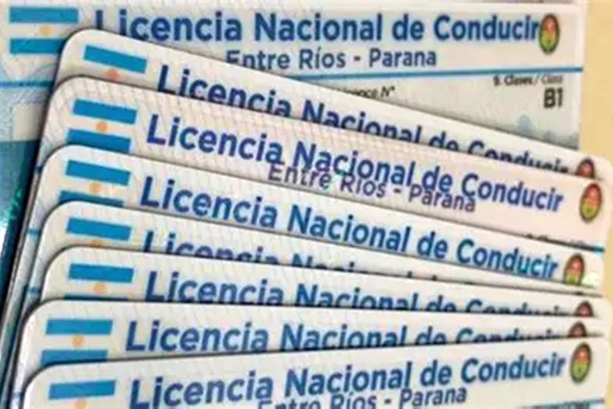 Alerta para morosos: deudores alimentarios ya no podrán obtener licencias de conducir profesionales - Reporte 1007